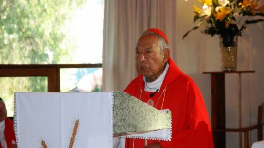 Cardenal Toribio Ticona: No basta retener en la memoria la Palabra de Dios, hay que bajarla al corazón