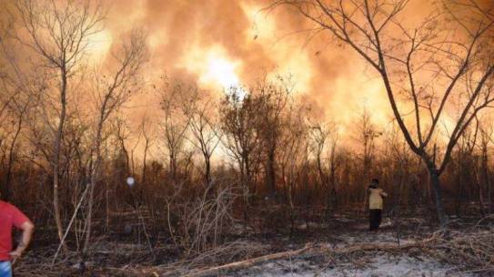 Incendios de la Amazonía boliviana son producto de intereses, afirman obispos