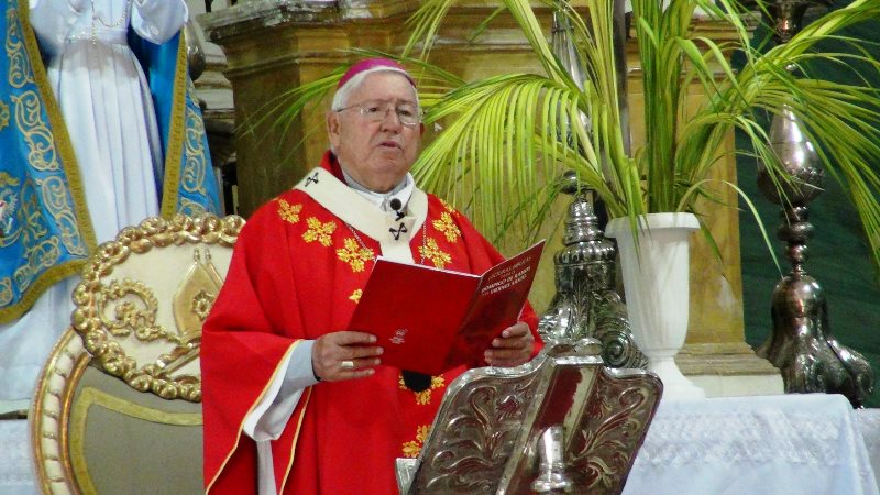 Mons. Juárez en Domingo de Ramos