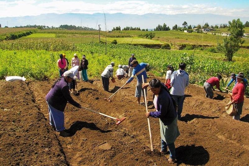 Trabajando la tierra en Bolivia