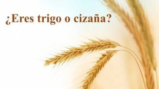 No seamos herbicidas