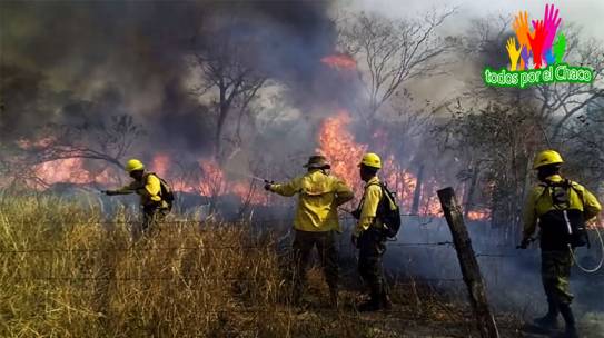 PASCAR: “TODOS POR EL CHACO” UN GESTO DE SOLIDARIDAD Y COMPROMISO POR NUESTRO MEDIO AMBIENTE